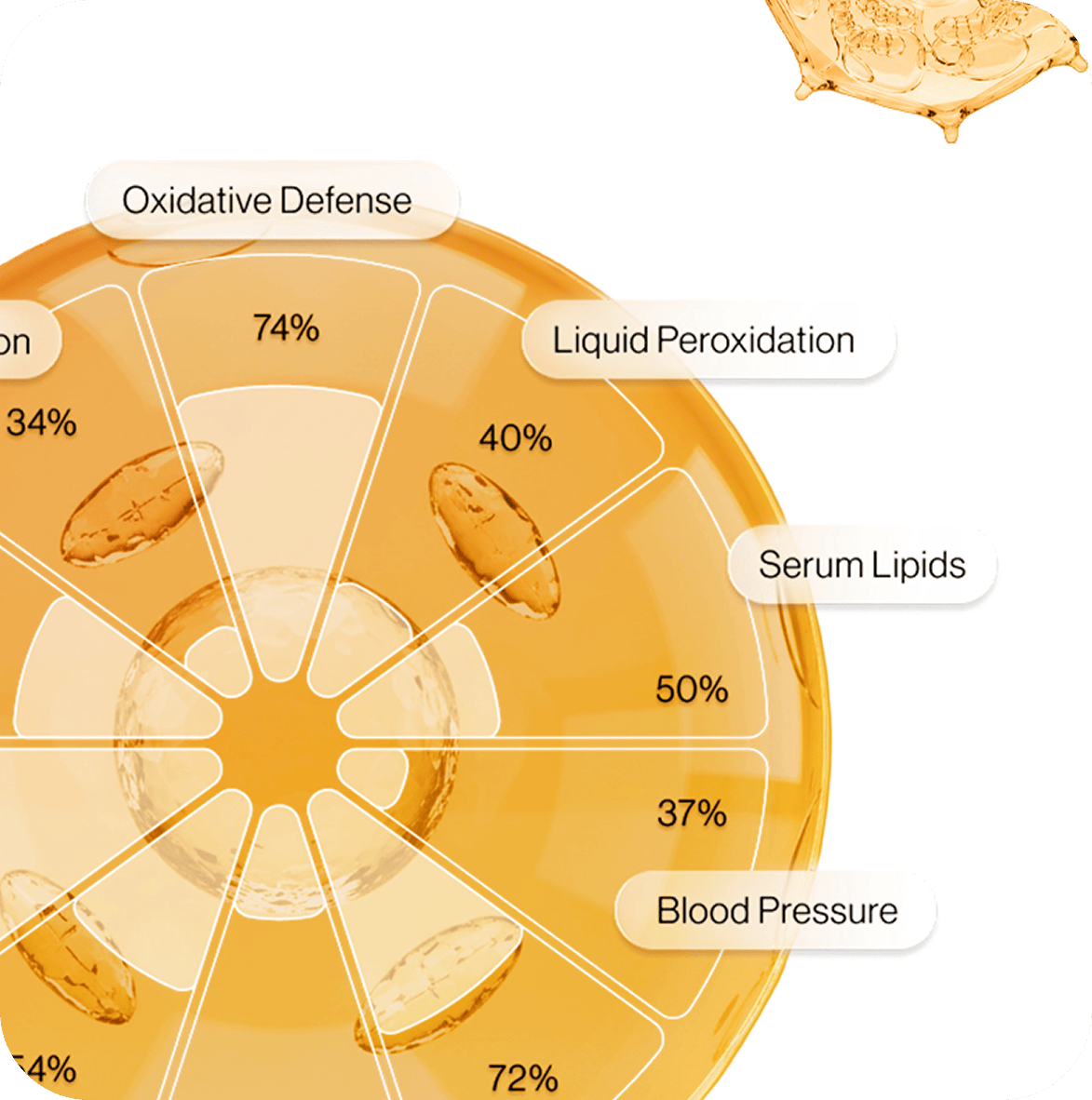 Advanced Diagnostics - Deep biological insights and genomic analysis